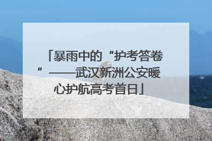 暴雨中的“护考答卷”——武汉新洲公安暖心护航高考首日