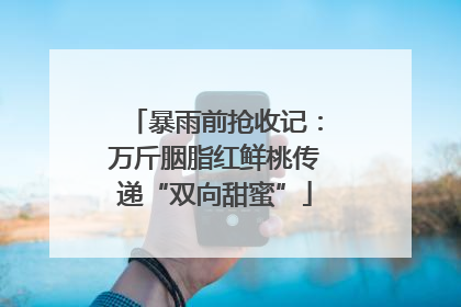 暴雨前抢收记：万斤胭脂红鲜桃传递“双向甜蜜”