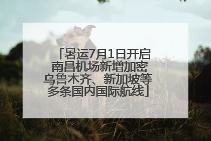 暑运7月1日开启 南昌机场新增加密乌鲁木齐、新加坡等多条国内国际航线
