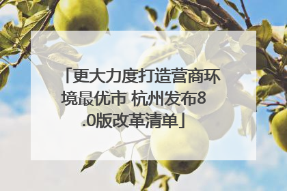更大力度打造营商环境最优市 杭州发布8.0版改革清单
