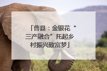 曹县：金银花“三产融合”托起乡村振兴致富梦