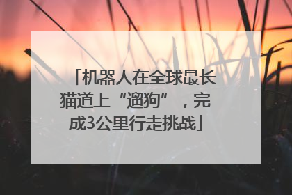 机器人在全球最长猫道上“遛狗”，完成3公里行走挑战