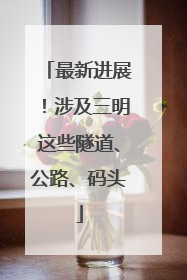 最新进展！涉及三明这些隧道、公路、码头