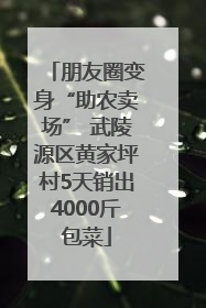 朋友圈变身“助农卖场” 武陵源区黄家坪村5天销出4000斤包菜