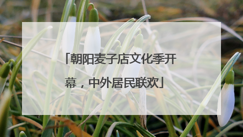 朝阳麦子店文化季开幕，中外居民联欢