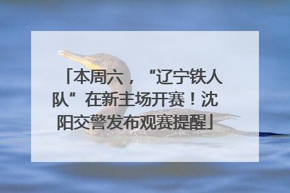 本周六，“辽宁铁人队”在新主场开赛！沈阳交警发布观赛提醒