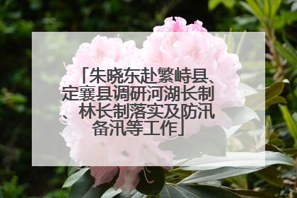 朱晓东赴繁峙县、定襄县调研河湖长制、林长制落实及防汛备汛等工作
