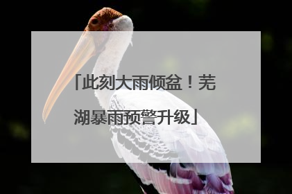 此刻大雨倾盆！芜湖暴雨预警升级