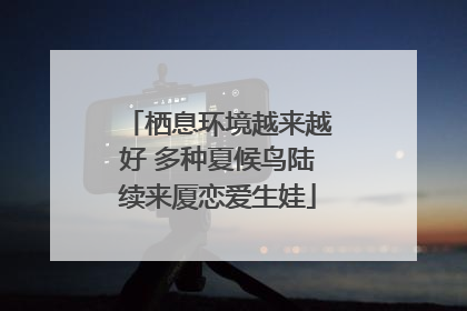 栖息环境越来越好 多种夏候鸟陆续来厦恋爱生娃