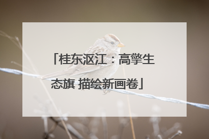 桂东沤江：高擎生态旗 描绘新画卷
