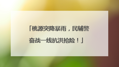 桃源突降暴雨，民辅警奋战一线抗洪抢险！