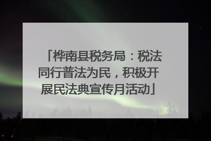桦南县税务局：税法同行普法为民，积极开展民法典宣传月活动