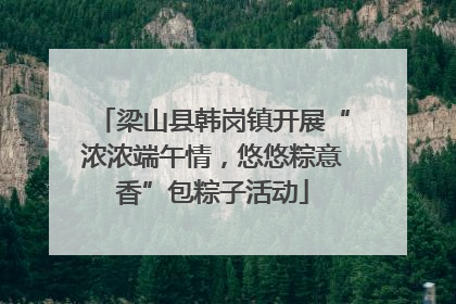 梁山县韩岗镇开展“浓浓端午情，悠悠粽意香”包粽子活动