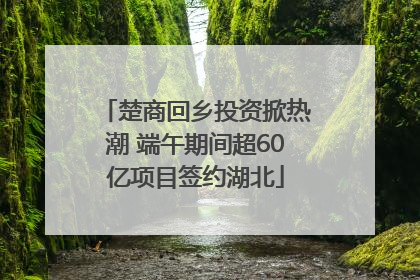 楚商回乡投资掀热潮 端午期间超60亿项目签约湖北