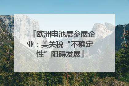 欧洲电池展参展企业：美关税“不确定性”阻碍发展