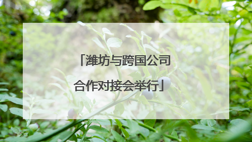 潍坊与跨国公司合作对接会举行