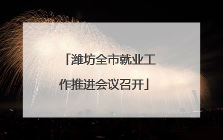 潍坊全市就业工作推进会议召开