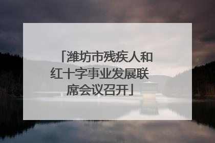潍坊市残疾人和红十字事业发展联席会议召开