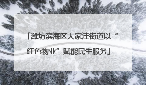潍坊滨海区大家洼街道以“红色物业”赋能民生服务