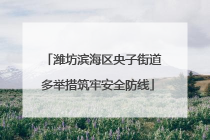 潍坊滨海区央子街道多举措筑牢安全防线