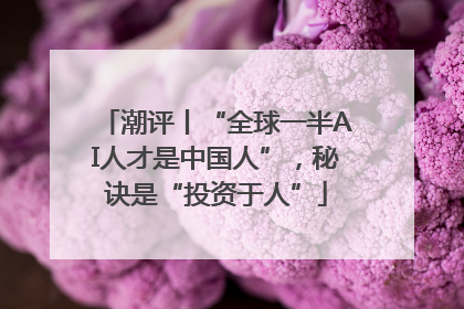 潮评丨“全球一半AI人才是中国人”，秘诀是“投资于人”