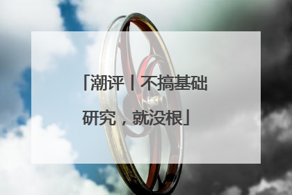 潮评丨不搞基础研究，就没根