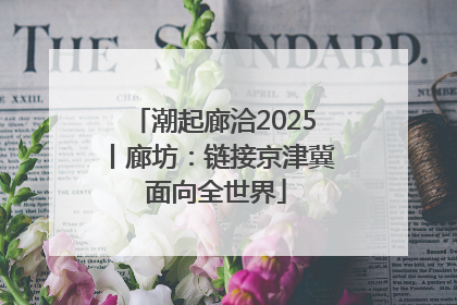 潮起廊洽2025丨廊坊：链接京津冀 面向全世界