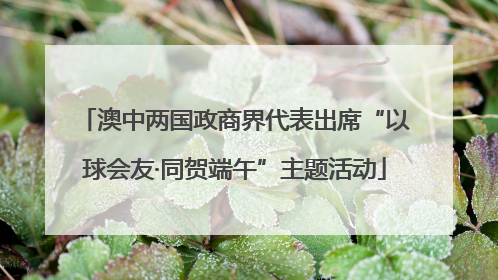 澳中两国政商界代表出席“以球会友·同贺端午”主题活动