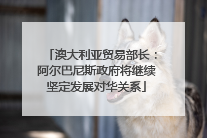 澳大利亚贸易部长：阿尔巴尼斯政府将继续坚定发展对华关系