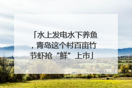 水上发电水下养鱼，青岛这个村百亩竹节虾抢“鲜”上市