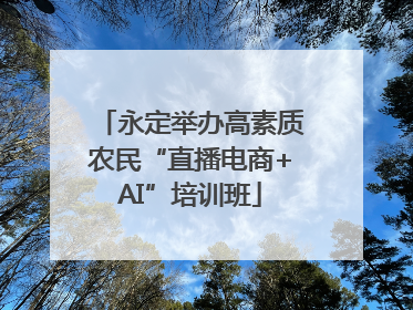 永定举办高素质农民“直播电商+AI”培训班