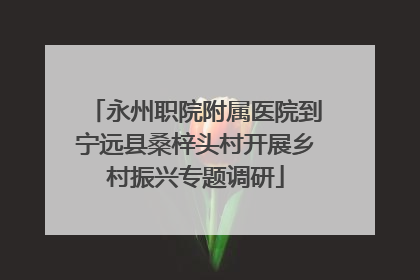 永州职院附属医院到宁远县桑梓头村开展乡村振兴专题调研