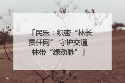 民乐：织密“林长责任网” 守护交通林带“绿动脉”
