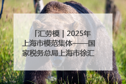 汇劳模｜2025年上海市模范集体——国家税务总局上海市徐汇区税务局第一税务所