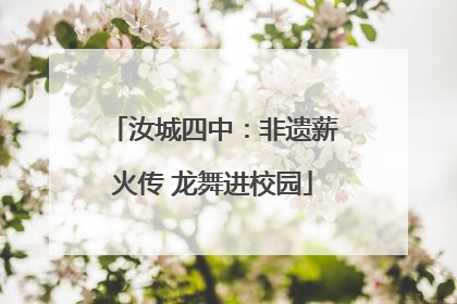 汝城四中：非遗薪火传 龙舞进校园