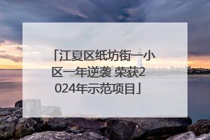 江夏区纸坊街一小区一年逆袭 荣获2024年示范项目