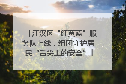 江汉区“红黄蓝”服务队上线，组团守护居民“舌尖上的安全”