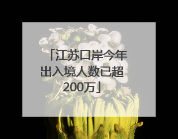 江苏口岸今年出入境人数已超200万