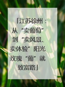 江苏徐州：从“卖葡萄”到“卖风景、卖体验”阳光玫瑰“葡”就致富路