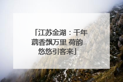 江苏金湖：千年藕香飘万里 荷韵悠悠引客来