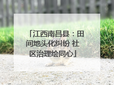 江西南昌县：田间地头化纠纷 社区治理绘同心