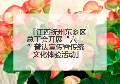 江西抚州东乡区总工会开展“六一”普法宣传暨传统文化体验活动