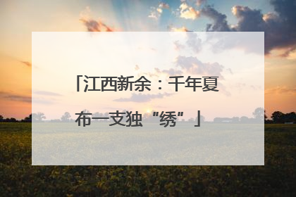 江西新余：千年夏布一支独“绣”