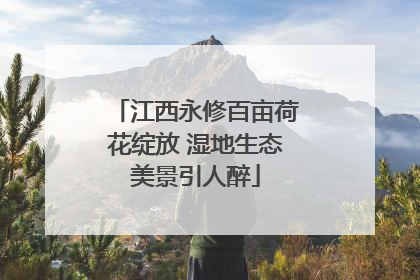 江西永修百亩荷花绽放 湿地生态美景引人醉
