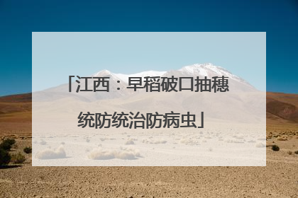 江西：早稻破口抽穗 统防统治防病虫