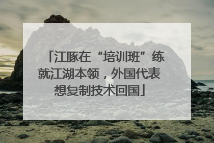 江豚在“培训班”练就江湖本领，外国代表想复制技术回国