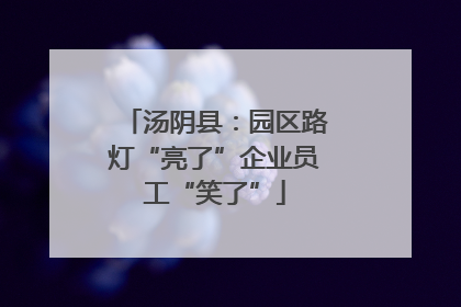 汤阴县：园区路灯“亮了”企业员工“笑了”