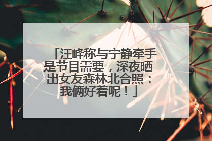 汪峰称与宁静牵手是节目需要，深夜晒出女友森林北合照：我俩好着呢！