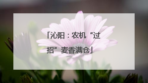 沁阳：农机“过招”麦香满仓