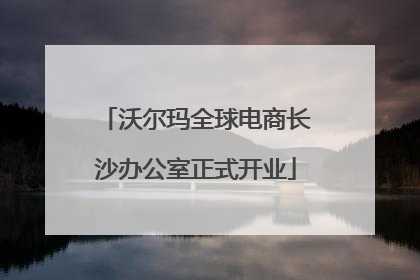 沃尔玛全球电商长沙办公室正式开业